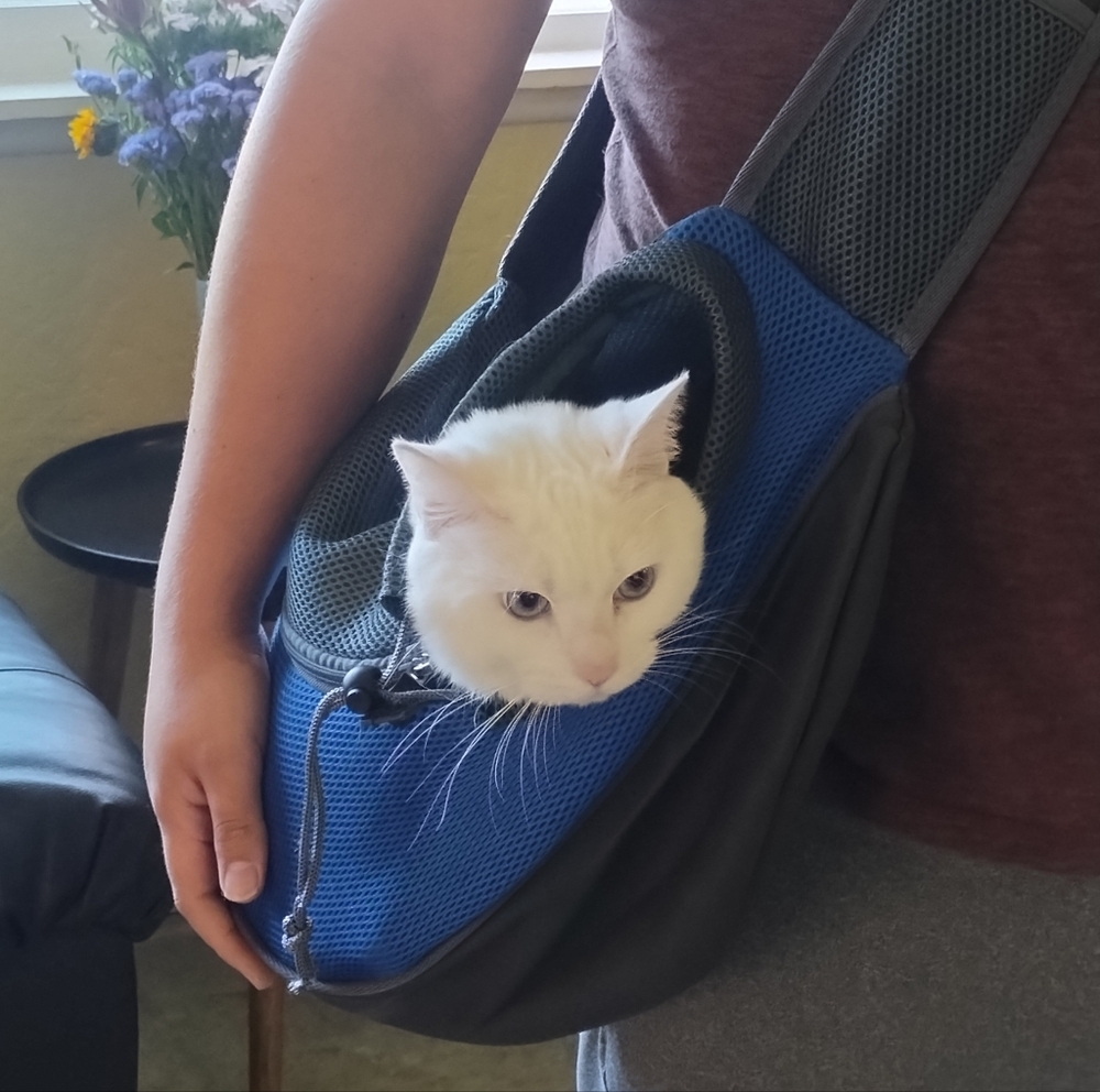 Blue and Gray Small Pet Carrier